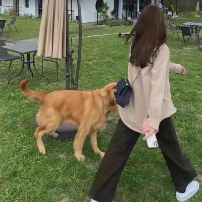 无极限之危情速递
