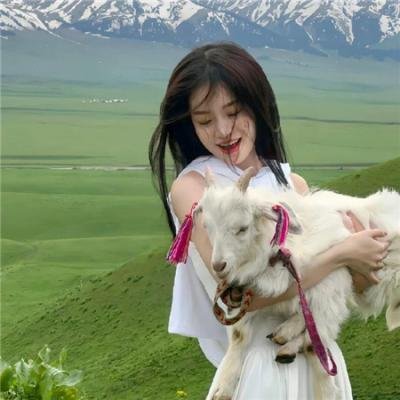 小姐姐请回答